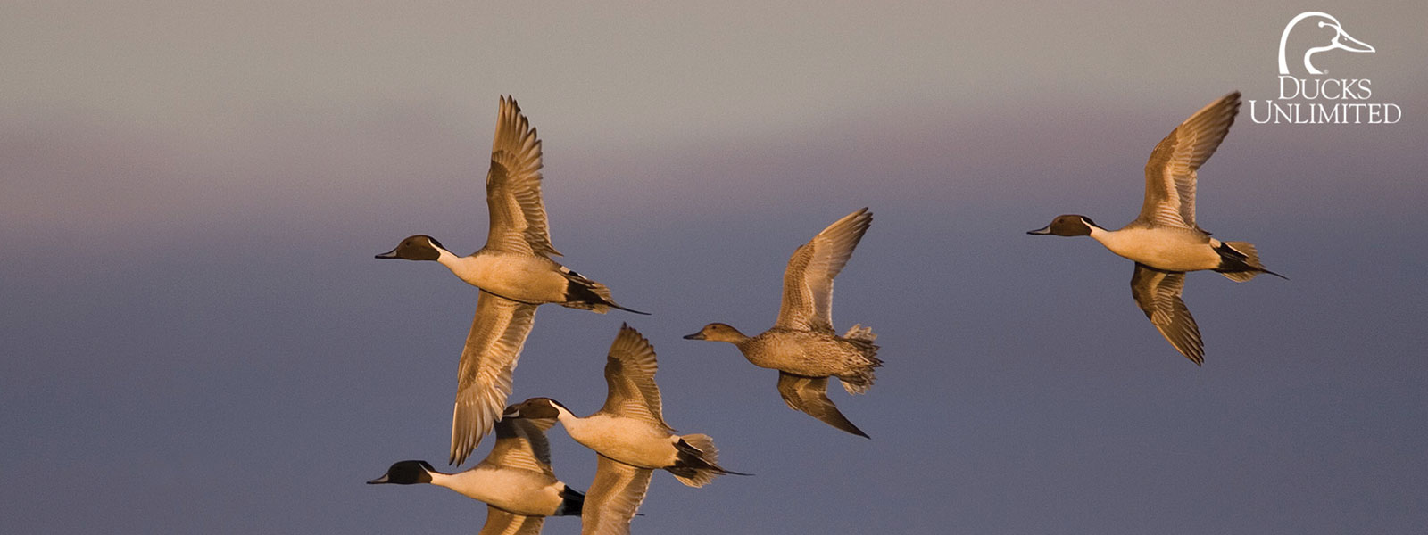 Flint Hills Resources Donates $65,000 To Protect Waterfowl Habitat